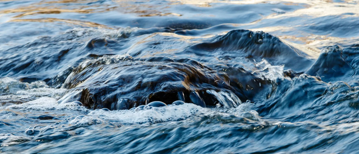 We have advised Rambøll on the acquisition of the Envidan group